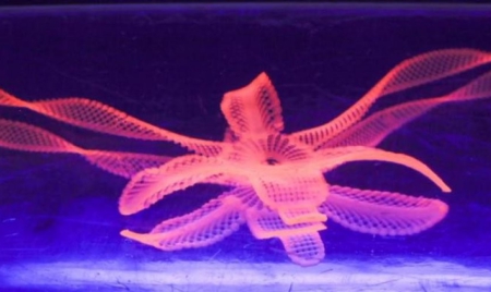 Une nouvelle méthode d’impression 4D pourrait bientôt sauver des vies