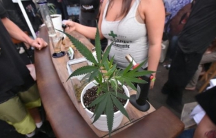 Médical ou récréatif, le cannabis légal fait planer l'Amérique avec ses milliards