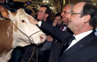 Salon de l'Agriculture : quels politiques s'y rendront ?