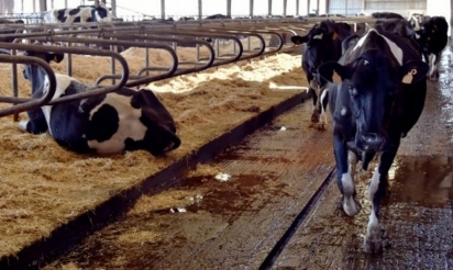 Aveyron : une inspectrice de la chambre d’agriculture meurt noyée après une altercation dans une exploitation laitière