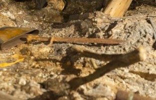 Verdun: 300 jours en enfer