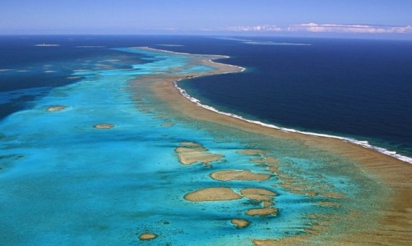 Episode massif de blanchissement des coraux observé en Nouvelle-Calédonie