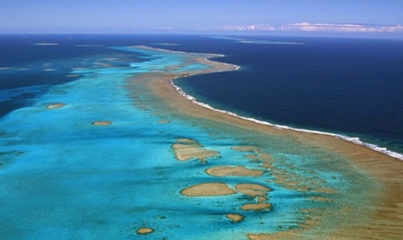 Episode massif de blanchissement des coraux observé en Nouvelle-Calédonie
