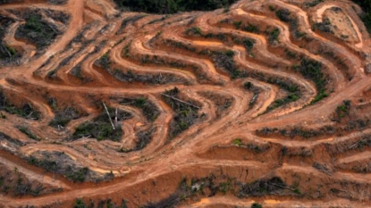 Huile de palme: l’Assemblée modère la taxe Nutella après les protestations de l’Indonésie et la Malaisie