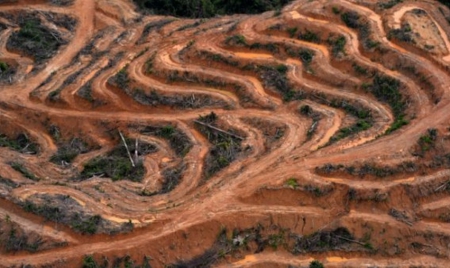 Huile de palme: l’Assemblée modère la taxe Nutella après les protestations de l’Indonésie et la Malaisie