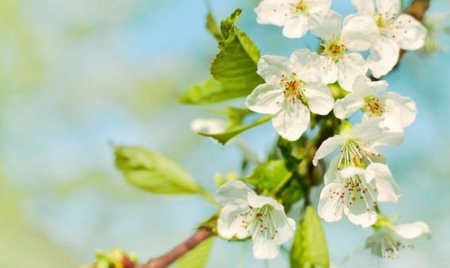 Pourquoi le printemps commence le 20 mars cette année, et non le 21