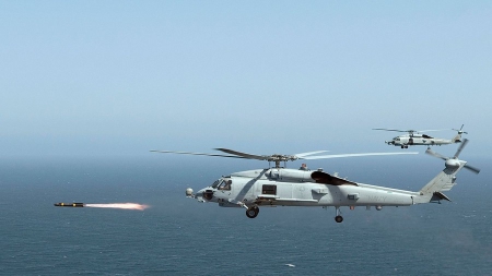 Un chien renifleur découvre deux missiles à destination des Etats-Unis