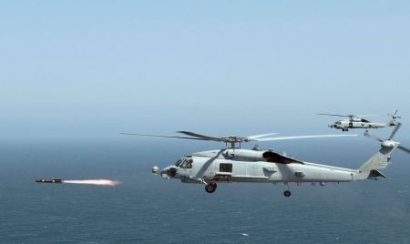 Un chien renifleur découvre deux missiles à destination des Etats-Unis