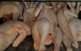 Poulet au formol, olives repeintes, viande de singe... Saisie record de 10.000 tonnes d'aliments dangereux