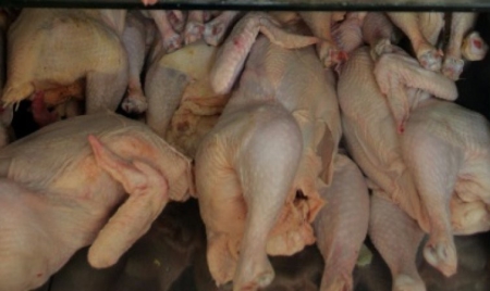 Poulet au formol, olives repeintes, viande de singe… Saisie record de 10.000 tonnes d’aliments dangereux