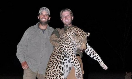 Les fils Trump, braconniers d’Afrique protégés par la loi et par papa trompete