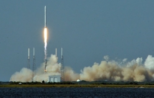 Espace: des lésions au foie chez des souris envoyées 13 jours en orbite