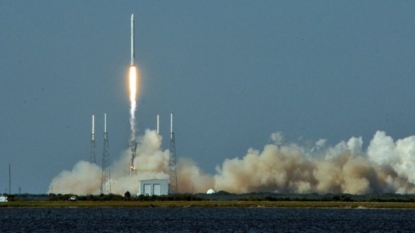 Espace: des lésions au foie chez des souris envoyées 13 jours en orbite