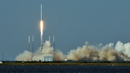 Espace: des lésions au foie chez des souris envoyées 13 jours en orbite