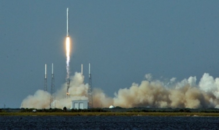 Espace: des lésions au foie chez des souris envoyées 13 jours en orbite