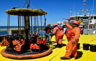 Dinosaures: des scientifiques cherchent sous la mer le secret de leur disparition 