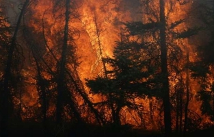 Canada: les feux s'étendent à Fort McMurray où l'exploitation pétrolière se réduit 