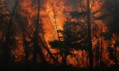 Canada: les feux s’étendent à Fort McMurray où l’exploitation pétrolière se réduit