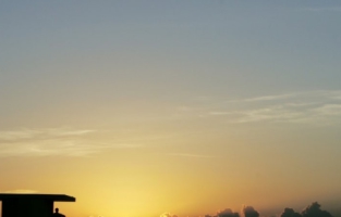 Floride: une nageuse emmenée à l'hôpital avec un requin mordant encore son bras 