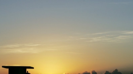 Floride: une nageuse emmenée à l’hôpital avec un requin mordant encore son bras