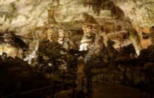 Un rare dragon éclôt dans une grotte de Slovénie 