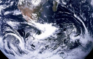 La perte de biodiversité menace les écosystèmes de la planète 