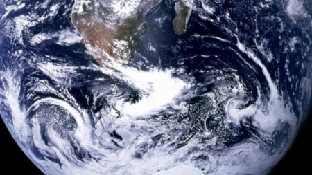 La perte de biodiversité menace les écosystèmes de la planète