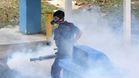 Zika: plus de quarante cas à Singapour de transmission locale du virus