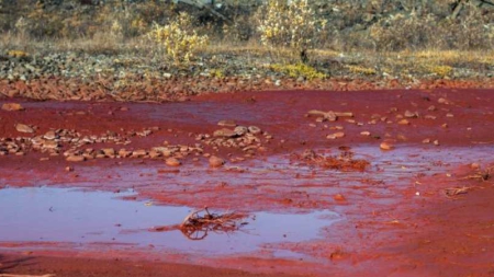 Une rivière vire au rouge sang dans le Grand-Nord russe