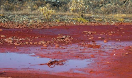 Une rivière vire au rouge sang dans le Grand-Nord russe