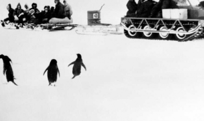 Canberra va rendre l’Île Macquarie à sa solitude australe