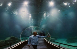 Voyage au fond de la mer : Rio se dote d'un aquarium géant 