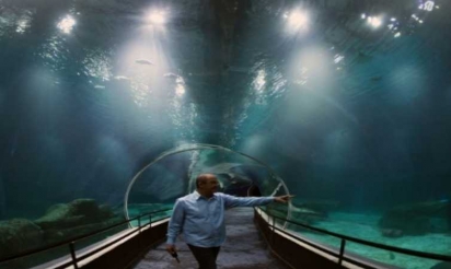 Voyage au fond de la mer : Rio se dote d’un aquarium géant