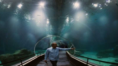 Voyage au fond de la mer : Rio se dote d’un aquarium géant