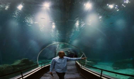 Voyage au fond de la mer : Rio se dote d’un aquarium géant