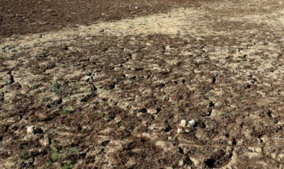 L’Afrique, région la plus frappée par une météo extrême en 2015