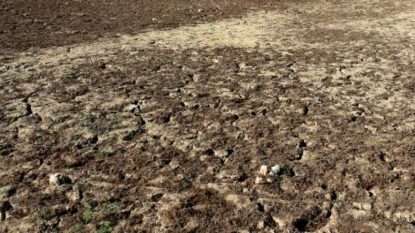 L’Afrique, région la plus frappée par une météo extrême en 2015