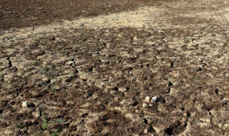 L’Afrique, région la plus frappée par une météo extrême en 2015