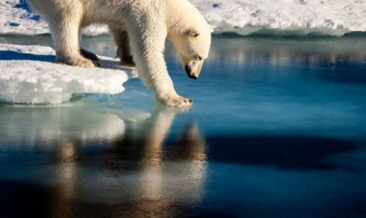 Chaleur inédite sur l’Arctique, en plein cercle vicieux