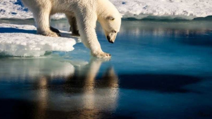 Chaleur inédite sur l’Arctique, en plein cercle vicieux