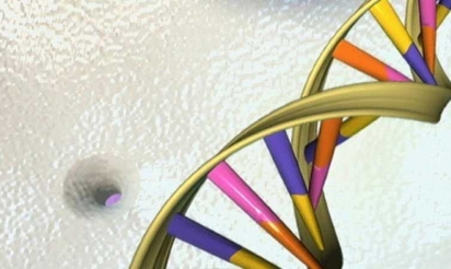 Le Royaume-Uni innove en autorisant les bébés conçus à partir de 3 ADN