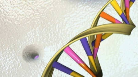 Le Royaume-Uni innove en autorisant les bébés conçus à partir de 3 ADN