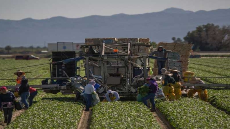 En Californie, angoisse, larmes et prières chez les immigrés