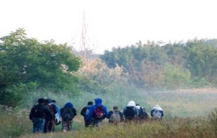 La Hongrie rétablit la détention systématique des migrants