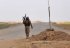 Moscou et Damas condamnent la frappe de la coalition contre l’armée syrienne